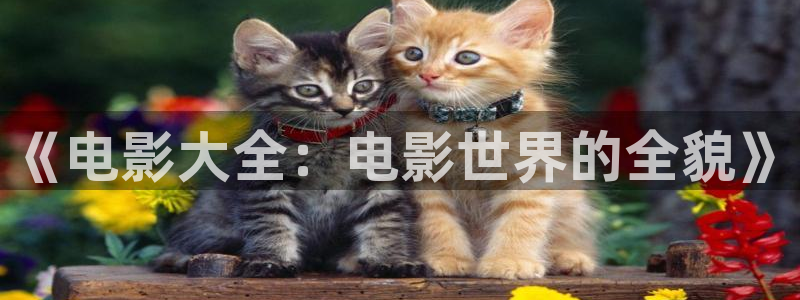 星辰世纪影视公司