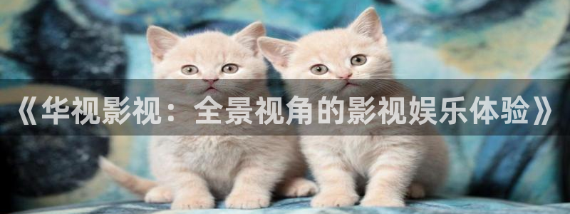 星辰影院免费高清电视剧大全：《华视影视：全景视角的影视娱乐体验》