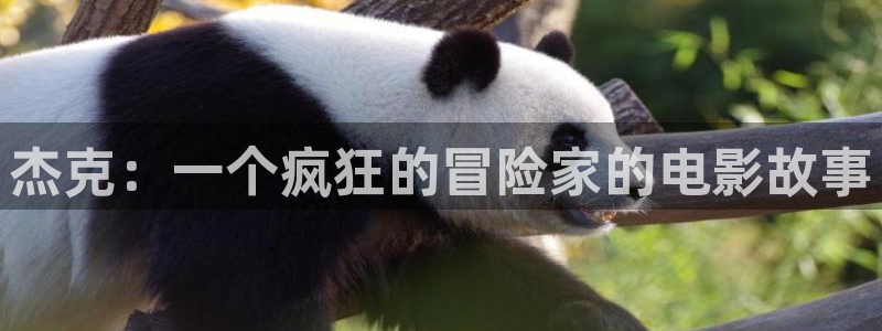 当我飞奔向你星辰影院：杰克：一个疯狂的冒险家的电影故事