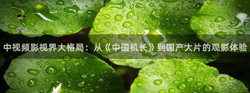 星辰影院怎么免费看：中视频影视界大格局：从《中国机长》到国产大片的观影体验