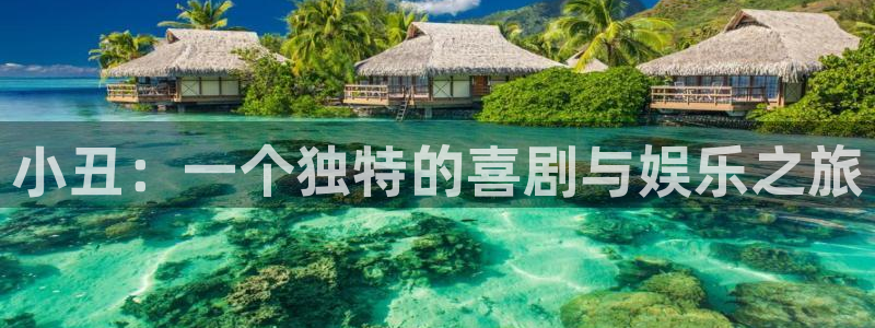 星辰世纪影视：小丑：一个独特的喜剧与娱乐之旅