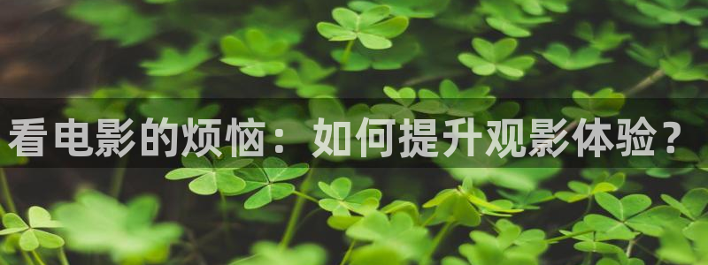 策驰星辰影院免费2025：看电影的烦恼：如何提升观影体验？