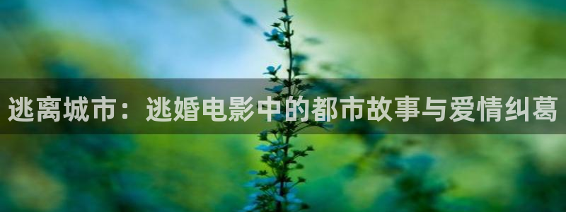 雁归时电视剧免费观看星辰影院：逃离城市：逃婚电影中的都市故事与爱情纠葛