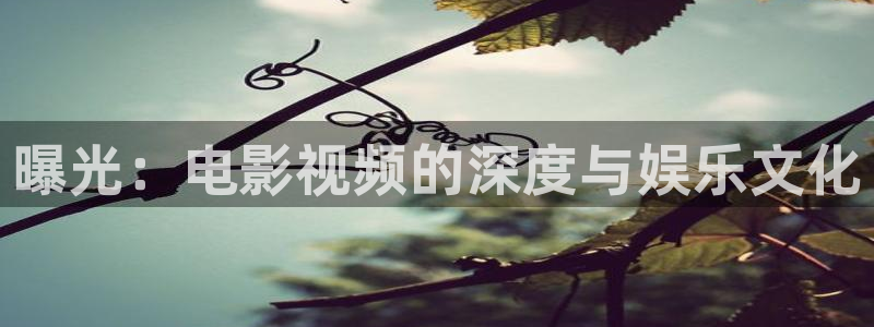 月光变奏曲电视剧星辰影院：曝光：电影视频的深度与娱乐文化