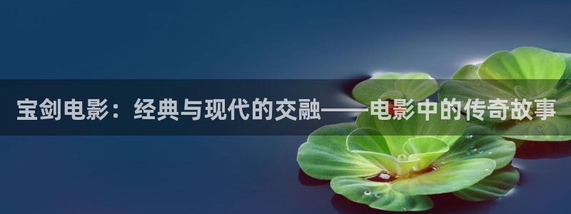 只为遇见你星辰影视