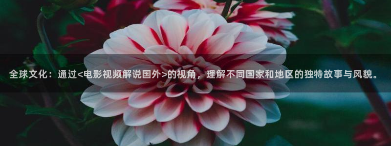 太平年电影免费完整版在线观看星辰影院