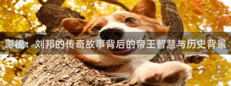 一念永恒第三季星辰影院：影视：刘邦的传奇故事背后的帝王智慧与历史背景