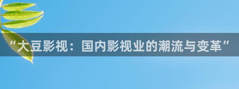 星辰影视飘：“大豆影视：国内影视业的潮流与变革”