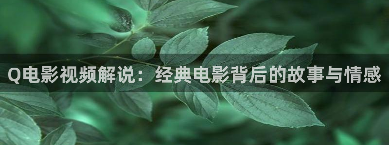 知否知否知否应是绿肥红瘦星辰影院：Q电影视频解说：经典电影背后的故事与情感
