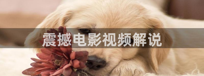 星辰影院tv版：震撼电影视频解说