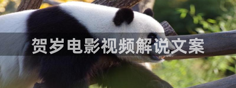 星辰电影院官网