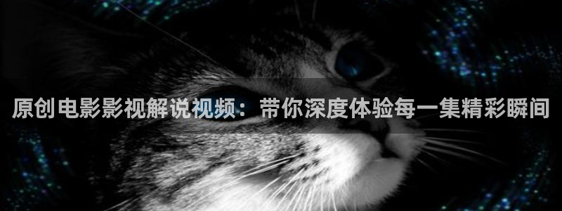 星辰影视有限公司