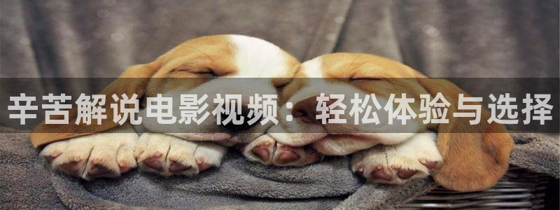 云之羽电视剧免费观看星辰影院