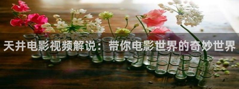星辰影院免费看电视剧电影