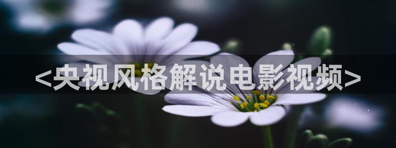 星辰影院妈妈的朋友