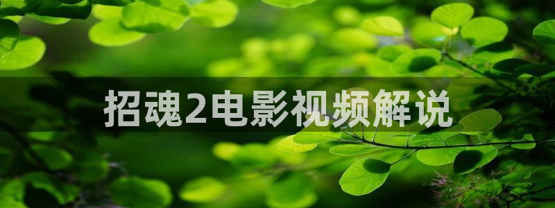 婚内婚外电视剧全集免费观看高清星辰影院