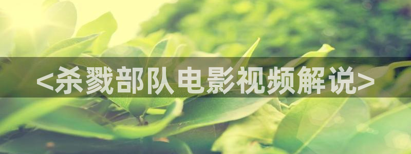 奔跑吧第十一季免费观看星辰影院