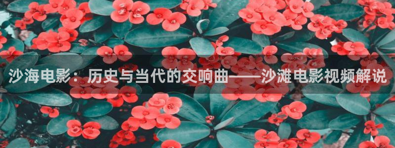 延禧攻略星辰影院