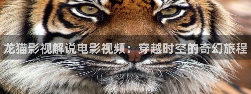 唐朝诡事录之西行星辰影视