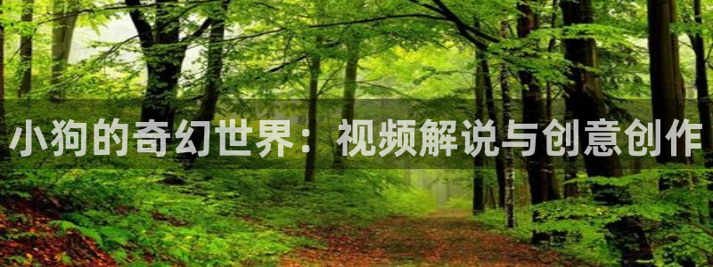 一路朝阳星辰影院