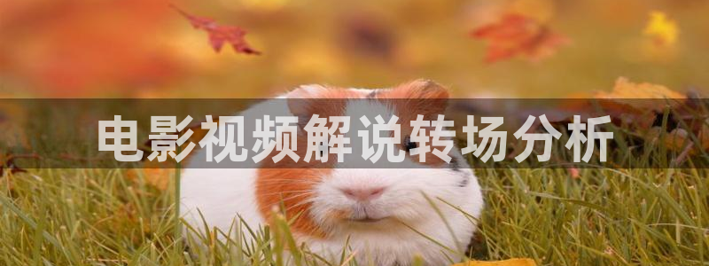 白月梵星电视剧星辰影院免费观看