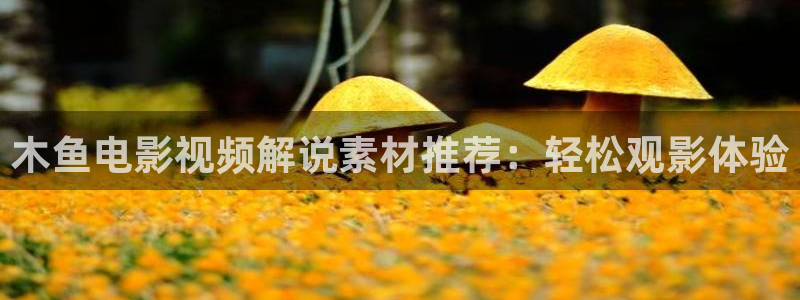 伦理星辰影院