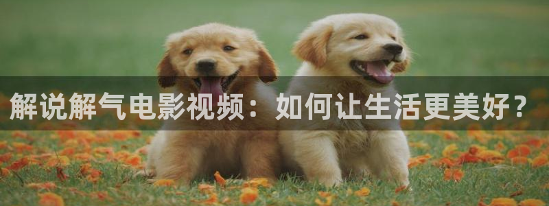 南风知我意免费观看星辰影院