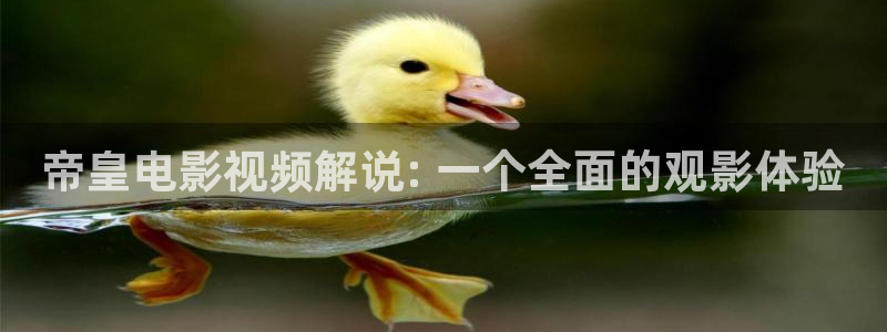 美女直播星辰影院