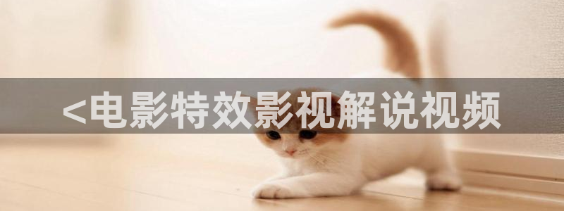 星掠者星辰影视