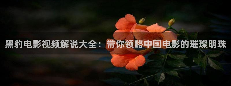 星辰影视免费看剧