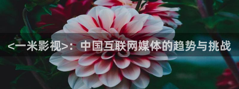 长乐曲电视剧免费观看完整版星辰影院