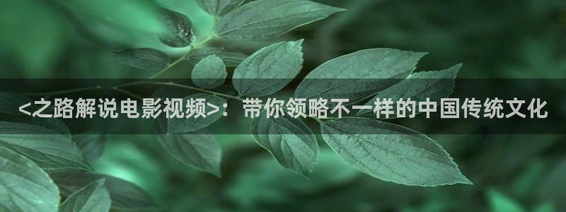 星辰影视甄执：<之路解说电影视频>：带你领略不一样的中国传统文化