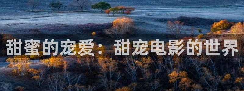 星辰影院免费观看电视剧五福临门：甜蜜的宠爱：甜宠电影的世界