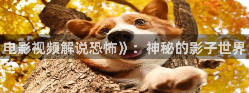 星辰影视 下载