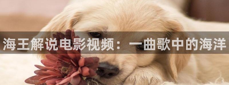 星辰影院观看电影