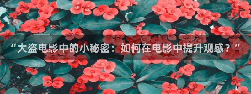星辰影院在线观看免费观看电视 玫瑰的故事