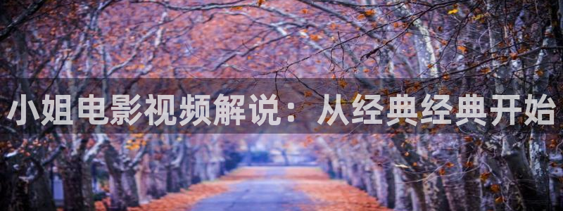 知否知否应是绿肥红瘦在线观看星辰影院