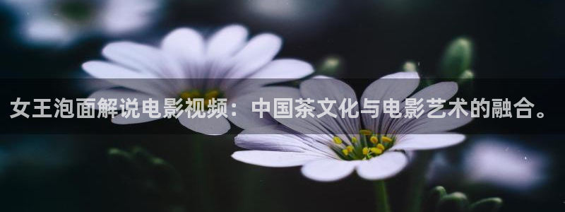 动漫在线星辰影视观看