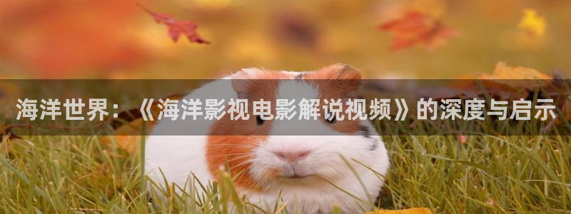 掌心星辰影院
