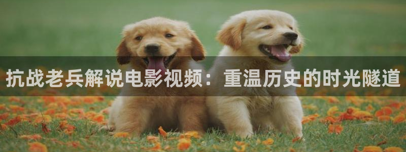 星辰影院伦理在线观看