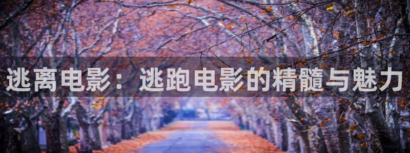 星辰视频在线看
