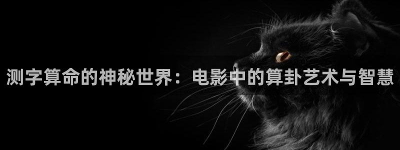 星辰影院视频高清在线观看