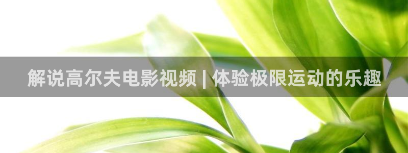 影院在线观看星辰