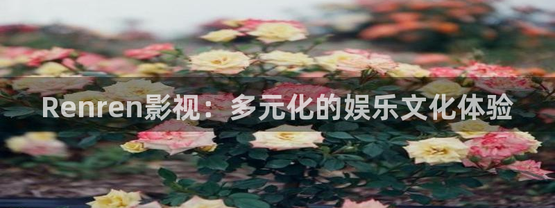 大侦探第八季星辰影院