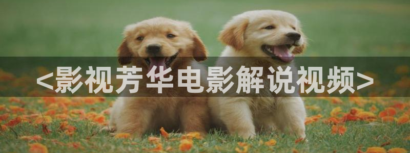 度华年星辰影院在线观看