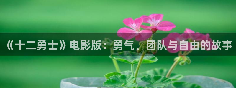 南来北往连续剧星辰影院