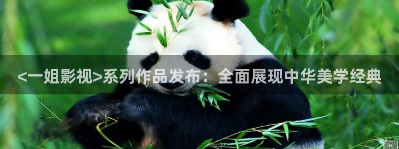 花间一倾城免费观看星辰影院