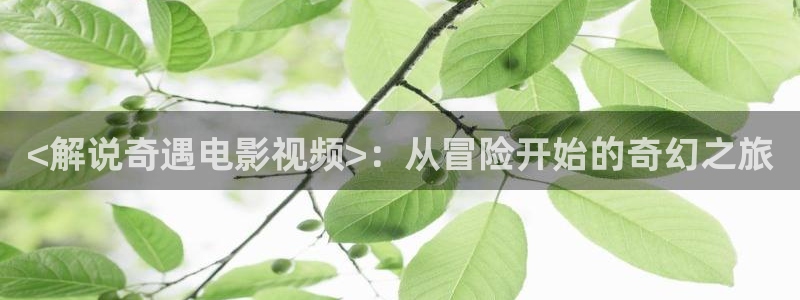 星辰影院免费观看电影电视剧