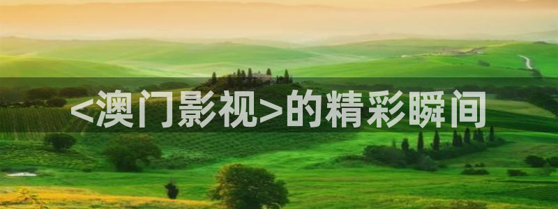星辰影院我是刑警